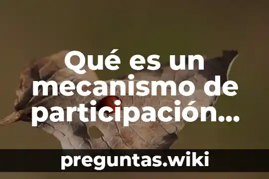 Qué es un mecanismo de participación democrática