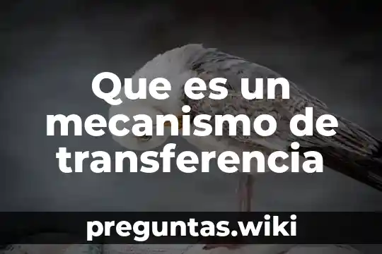 Que es un mecanismo de transferencia
