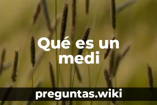 Qué es un medi