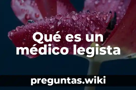 Qué es un médico legista