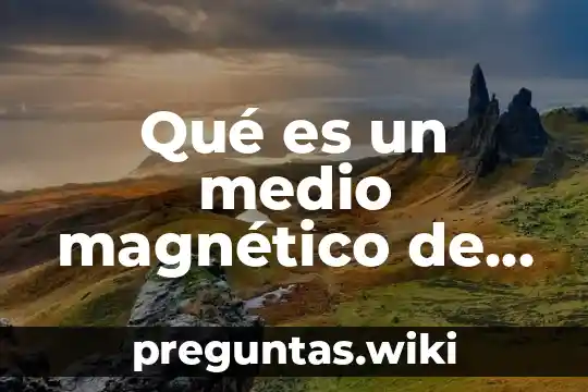 Qué es un medio magnético de una compu