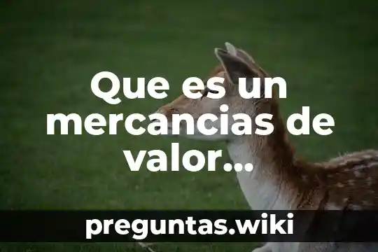 Que es un mercancias de valor definicion
