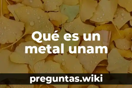 Qué es un metal unam