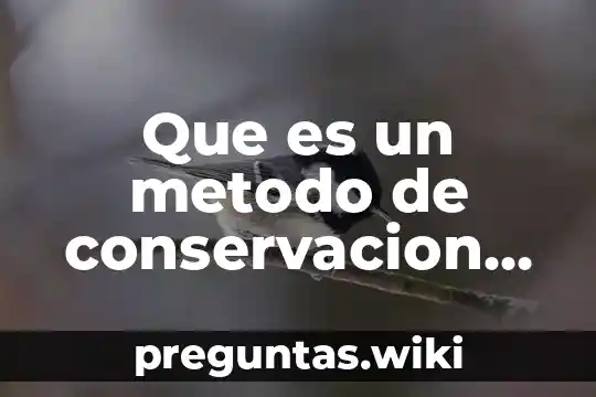 Que es un metodo de conservacion nom
