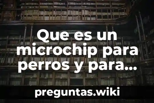 Que es un microchip para perros y para que sirve
