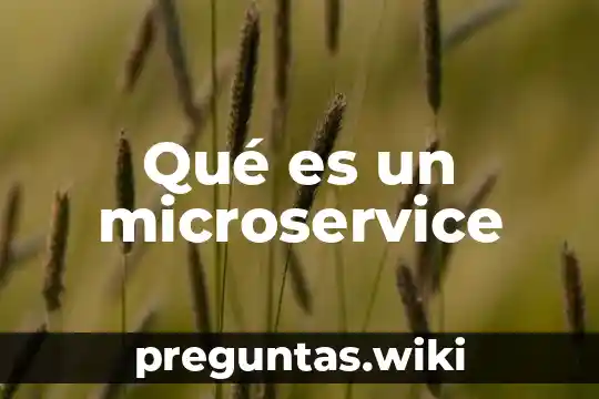Qué es un microservice