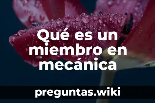 Qué es un miembro en mecánica