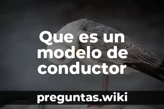 Que es un modelo de conductor
