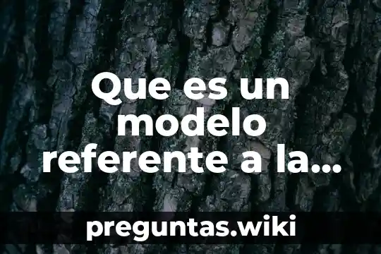 Que es un modelo referente a la materia