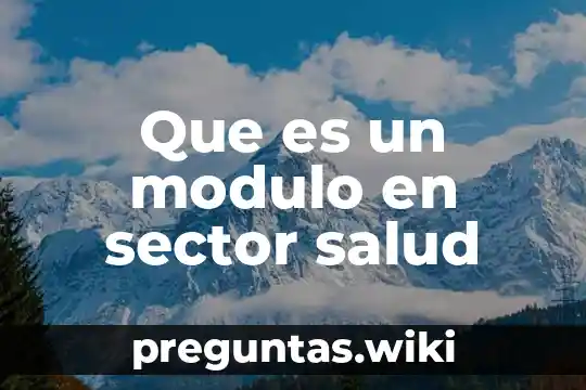 Que es un modulo en sector salud