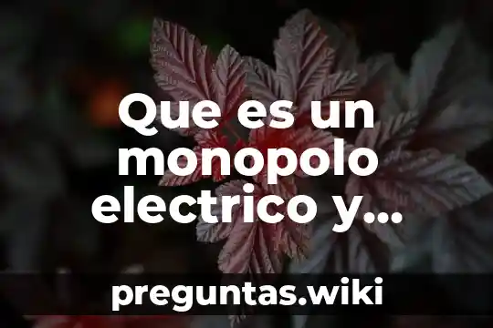 Que es un monopolo electrico y como hacerlo