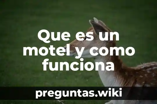 Que es un motel y como funciona
