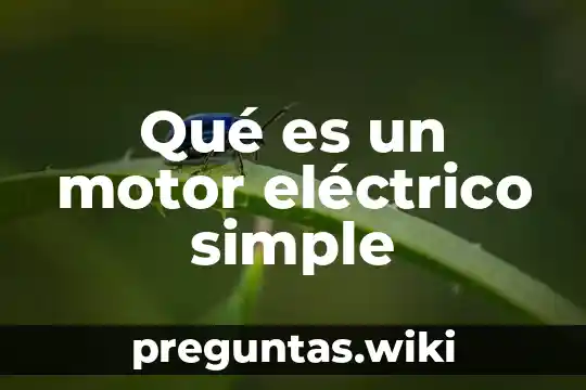 Qué es un motor eléctrico simple