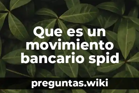 Que es un movimiento bancario spid
