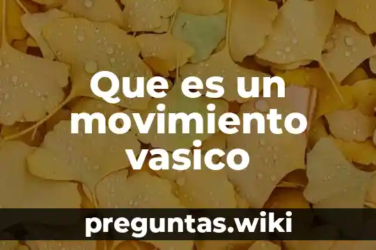 Que es un movimiento vasico