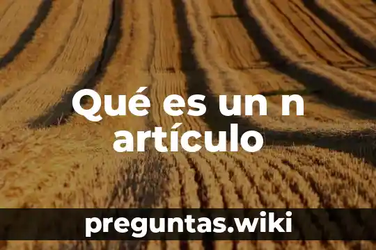 Qué es un n artículo