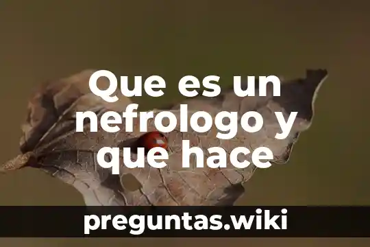 Que es un nefrologo y que hace
