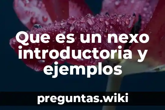 Que es un nexo introductoria y ejemplos