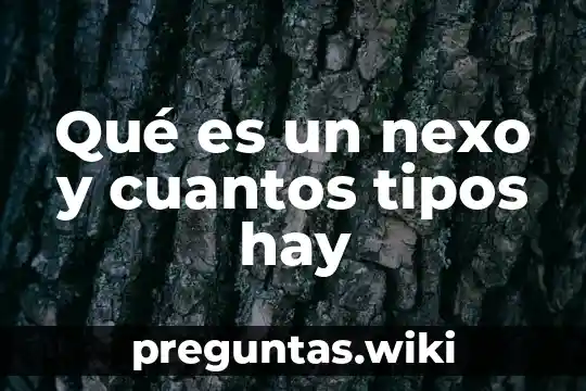 Qué es un nexo y cuantos tipos hay