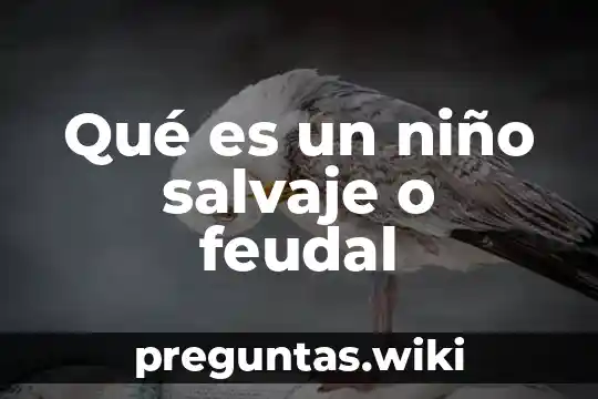 Qué es un niño salvaje o feudal