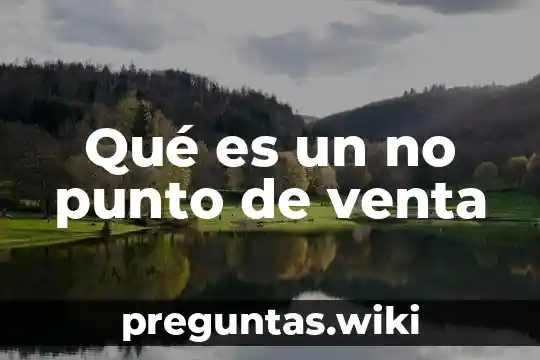 Qué es un no punto de venta
