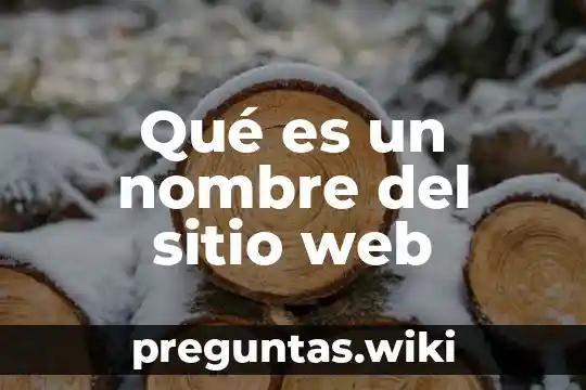 Qué es un nombre del sitio web