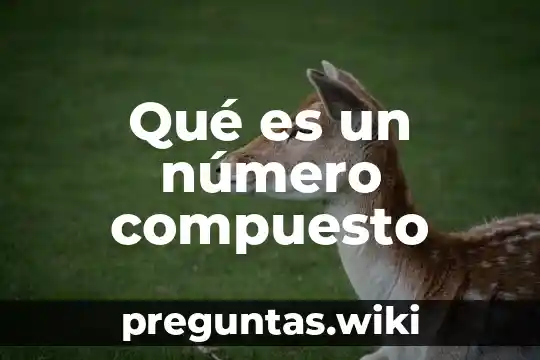 Qué es un número compuesto