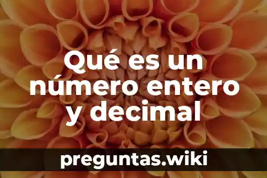 Qué es un número entero y decimal