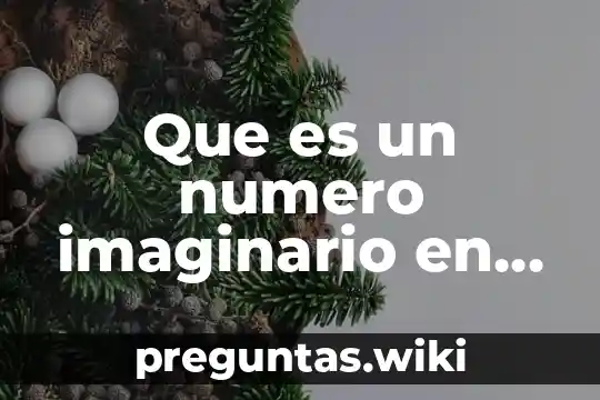 Que es un numero imaginario en algebra