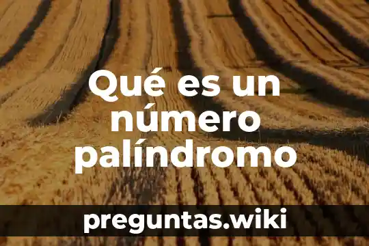 Qué es un número palíndromo