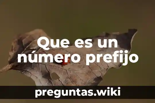 Que es un número prefijo