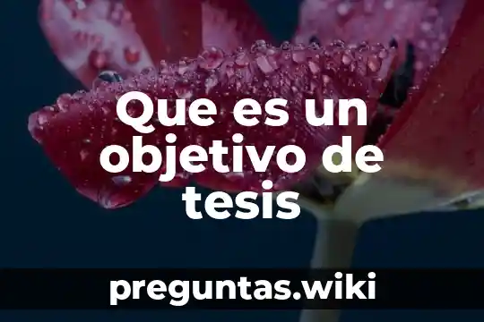 Que es un objetivo de tesis