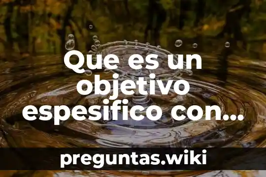 Que es un objetivo espesifico con autor