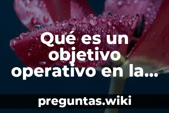 Qué es un objetivo operativo en la organización