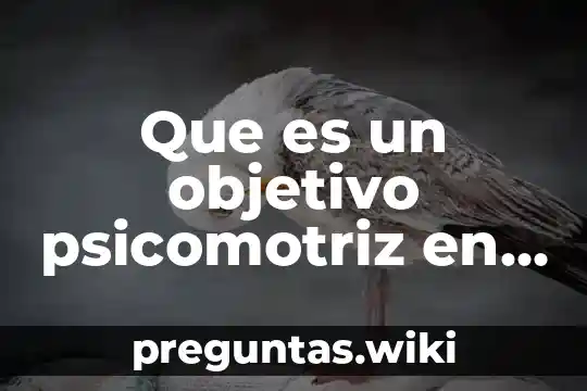 Que es un objetivo psicomotriz en el campo organizacional