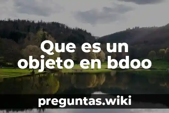 Que es un objeto en bdoo