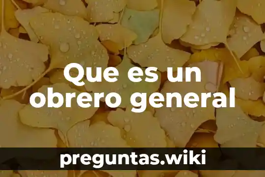 Que es un obrero general