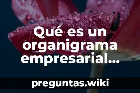 Qué es un organigrama empresarial Yahoo
