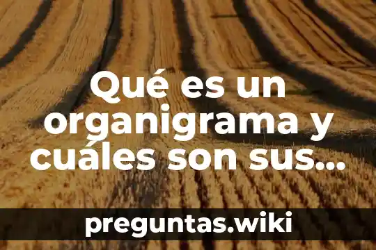 Qué es un organigrama y cuáles son sus tipos