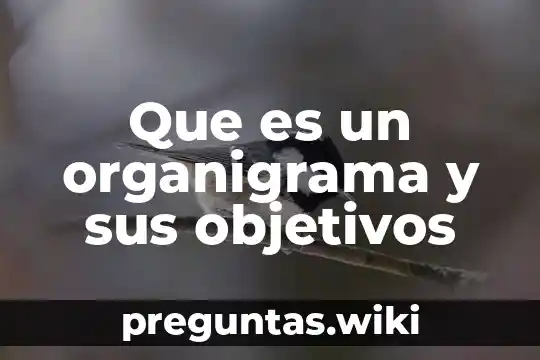 Que es un organigrama y sus objetivos