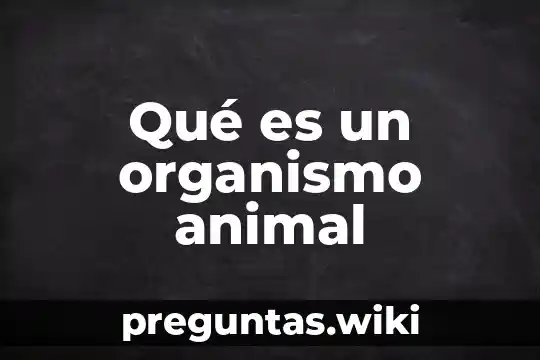Qué es un organismo animal