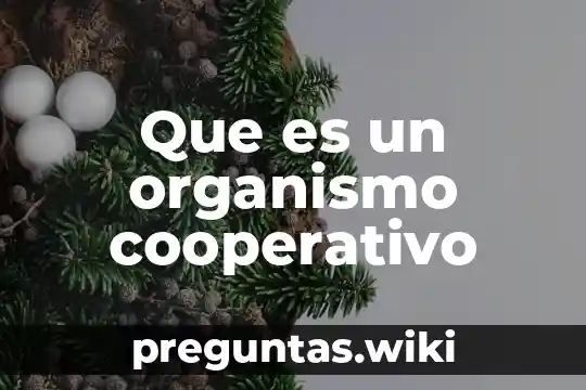 Que es un organismo cooperativo