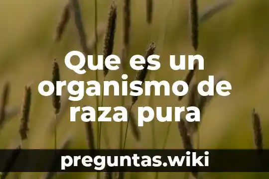 Que es un organismo de raza pura