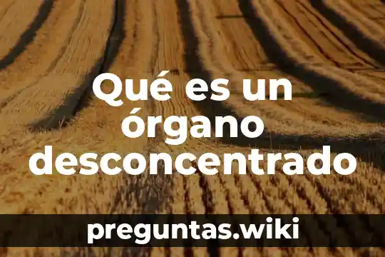 Qué es un órgano desconcentrado