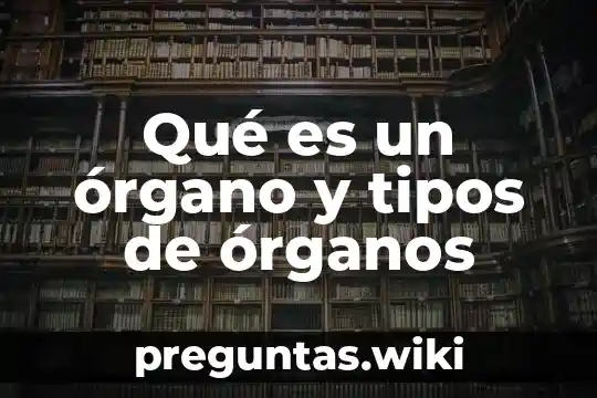 Qué es un órgano y tipos de órganos
