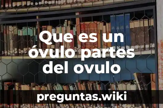 Que es un óvulo partes del ovulo