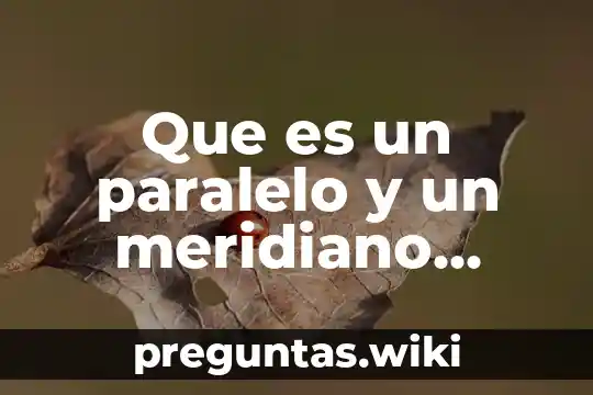 Que es un paralelo y un meridiano yahoo