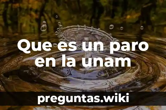 Que es un paro en la unam