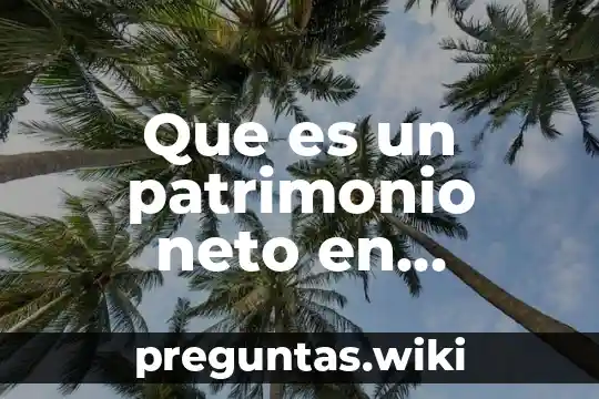 Que es un patrimonio neto en contabilidad