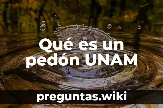 Qué es un pedón UNAM